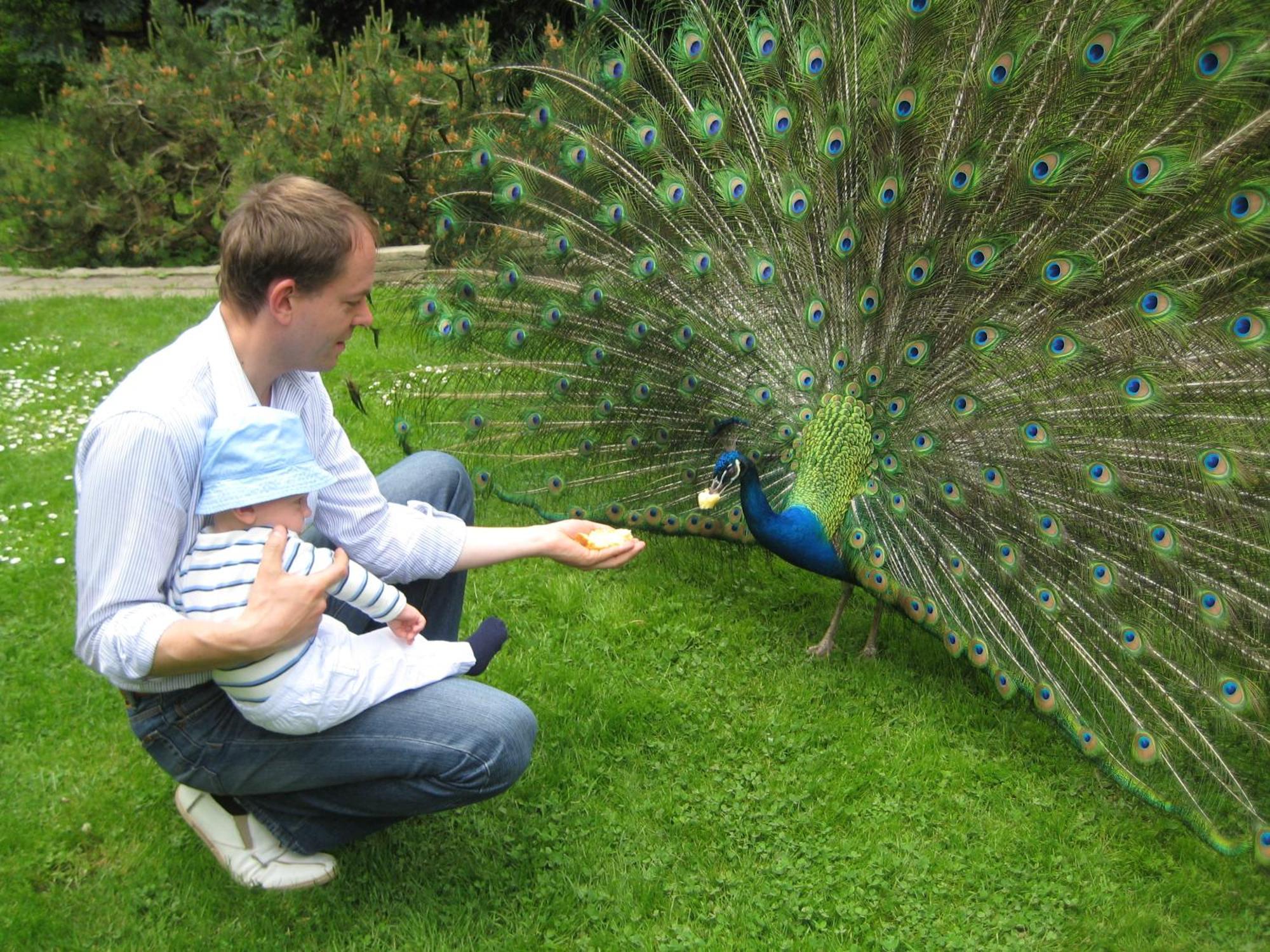 קדלינבורג Harzer Feriengarten מראה חיצוני תמונה